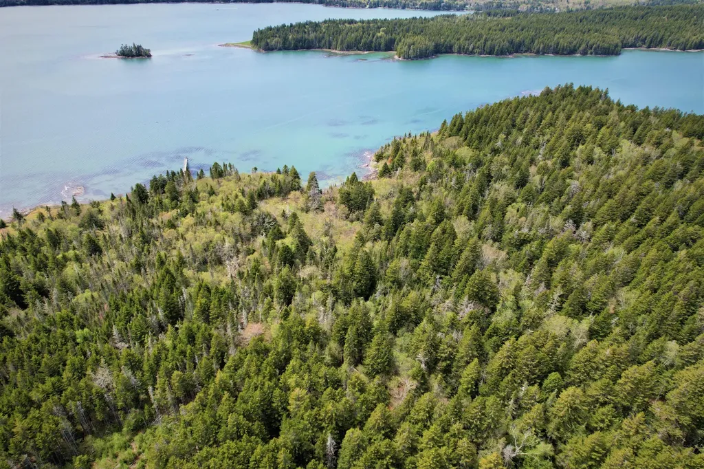 Lot 20-5-1 Collins Cove Road Machiasport ME 04655