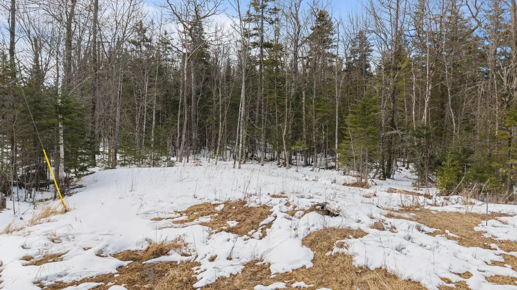 3 New England Road Abbot ME 04406