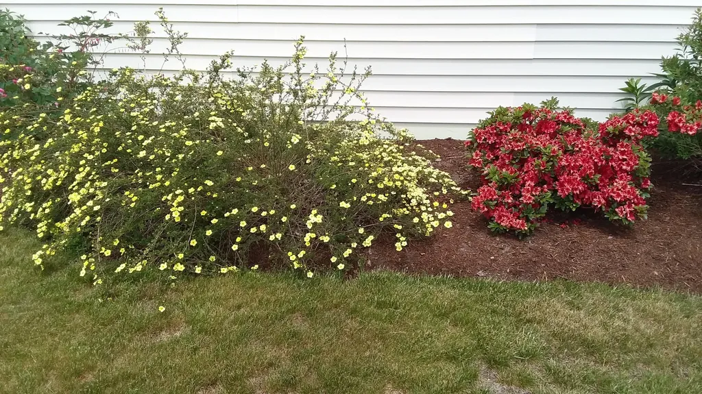 71 Upper-charleston Road Charleston ME 04422