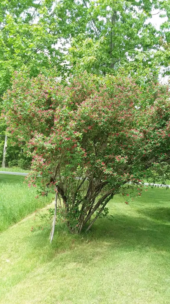 71 Upper-charleston Road Charleston ME 04422