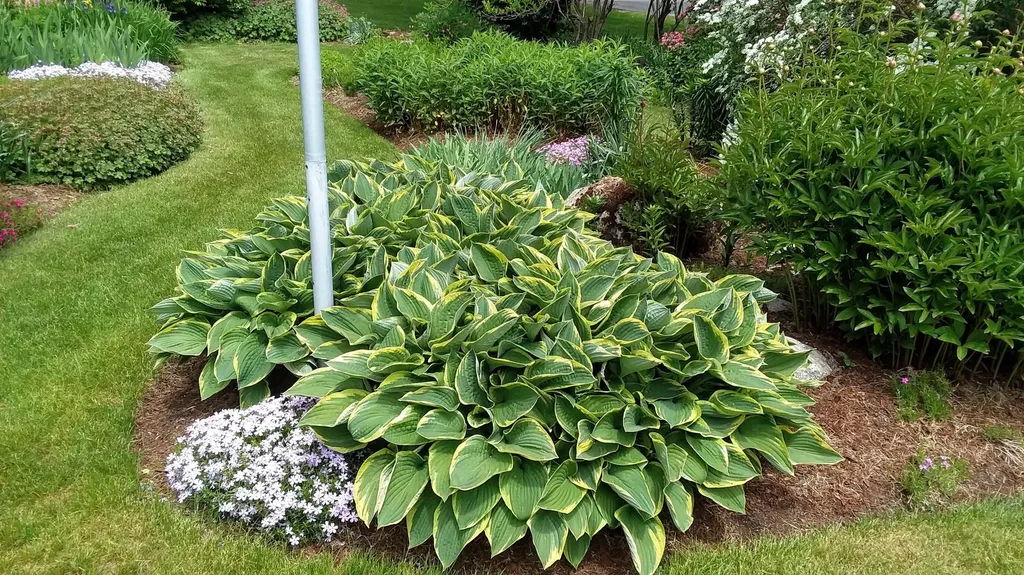 71 Upper-charleston Road Charleston ME 04422
