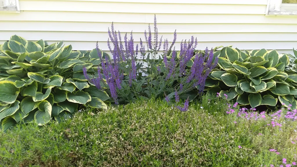 71 Upper-charleston Road Charleston ME 04422