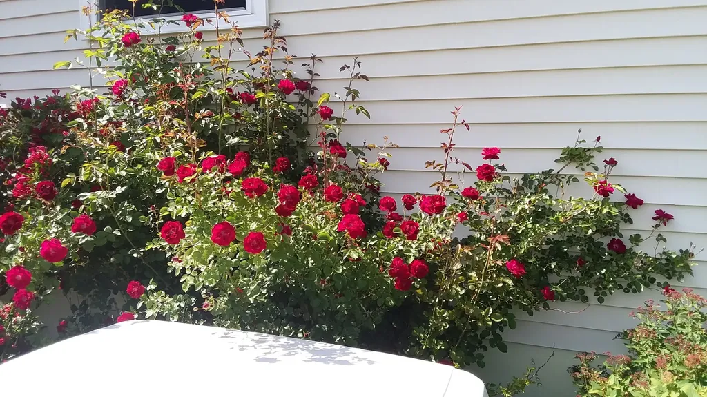 71 Upper-charleston Road Charleston ME 04422