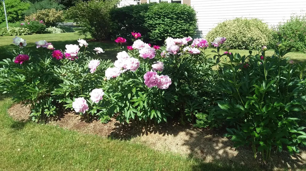 71 Upper-charleston Road Charleston ME 04422