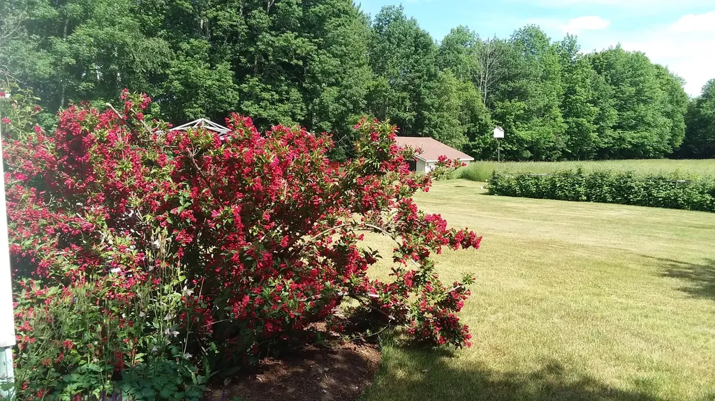 71 Upper-charleston Road Charleston ME 04422