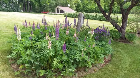 71 Upper-charleston Road Charleston ME 04422