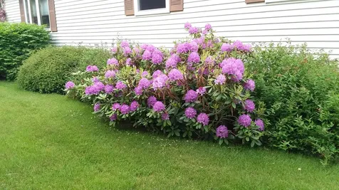 71 Upper-charleston Road Charleston ME 04422