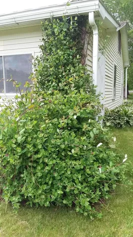 71 Upper-charleston Road Charleston ME 04422