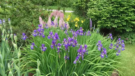 71 Upper-charleston Road Charleston ME 04422