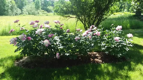 71 Upper-charleston Road Charleston ME 04422
