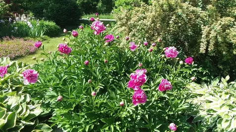 71 Upper-charleston Road Charleston ME 04422