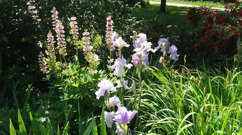 71 Upper-charleston Road Charleston ME 04422