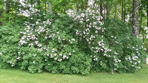 71 Upper-charleston Road Charleston ME 04422