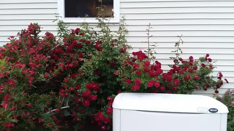 71 Upper-charleston Road Charleston ME 04422