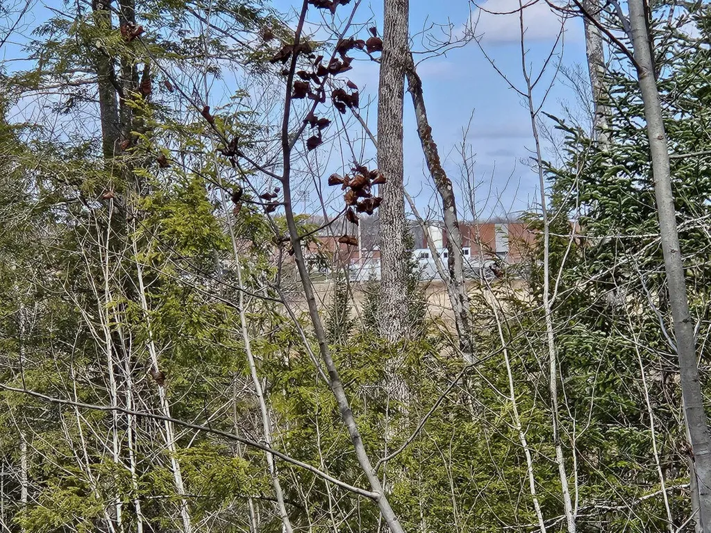 M8 L36 Bigelow Hill Road Skowhegan ME 04976