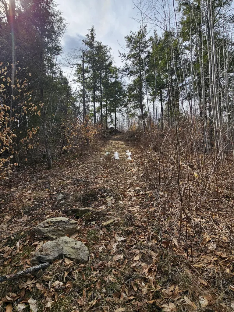 M8 L36 Bigelow Hill Road Skowhegan ME 04976