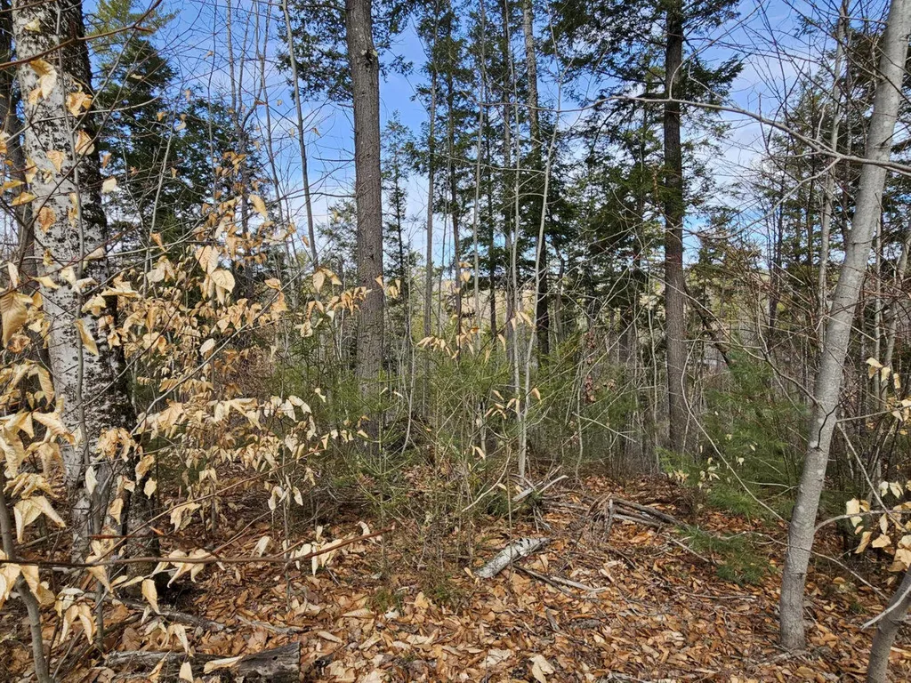 M8 L36 Bigelow Hill Road Skowhegan ME 04976
