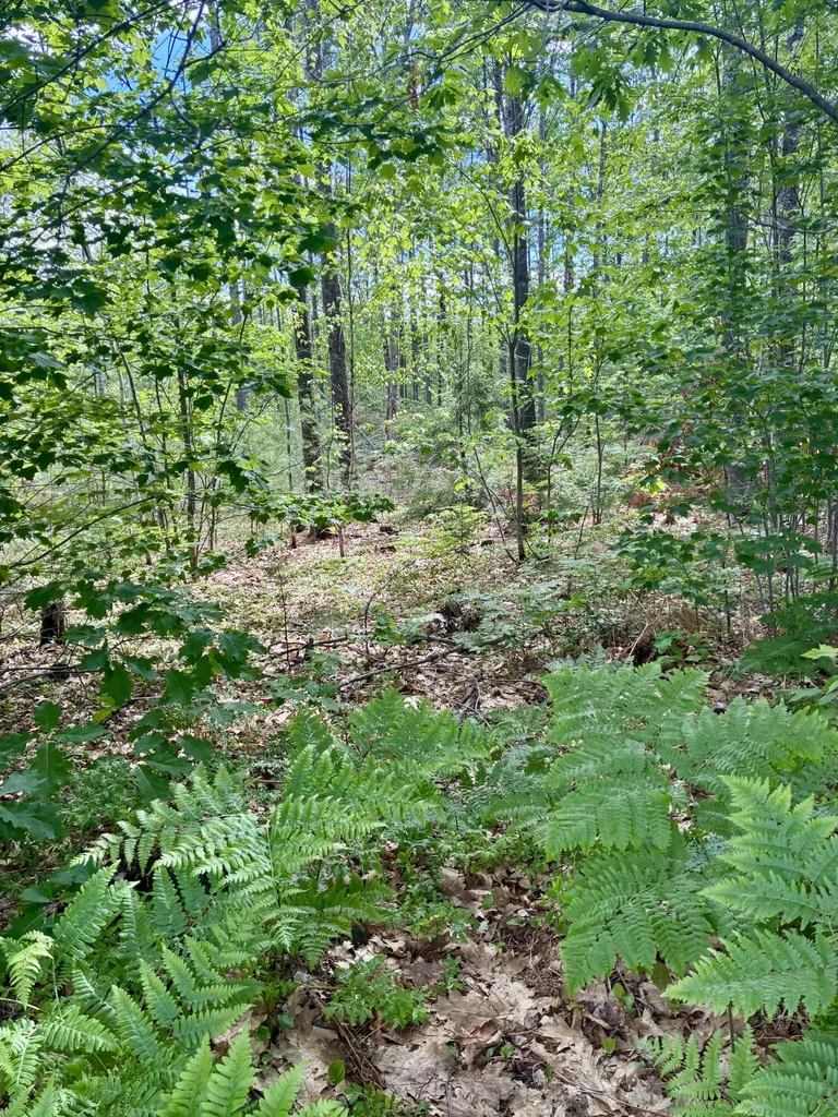 Lot 16 (1) Whittier Road Farmington ME 04938