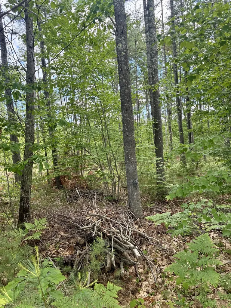 Lot 16 (1) Whittier Road Farmington ME 04938