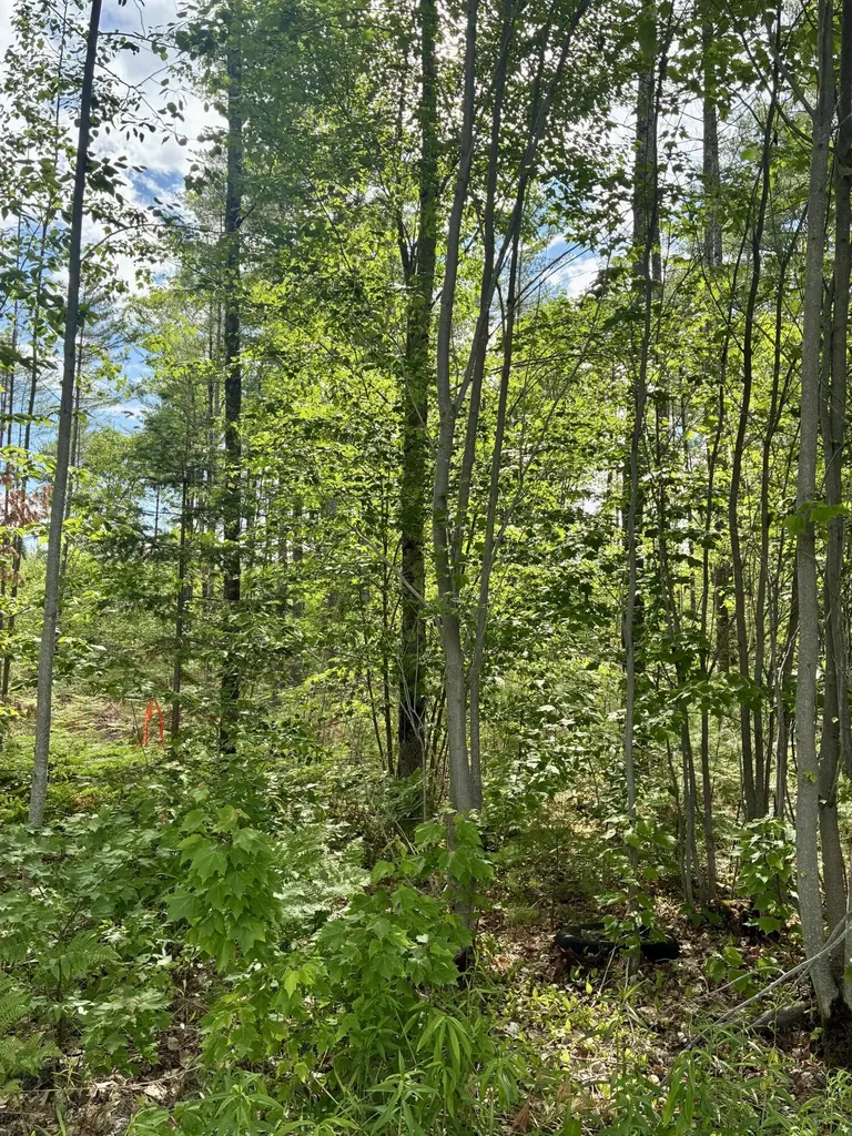 Lot 16 (1) Whittier Road Farmington ME 04938
