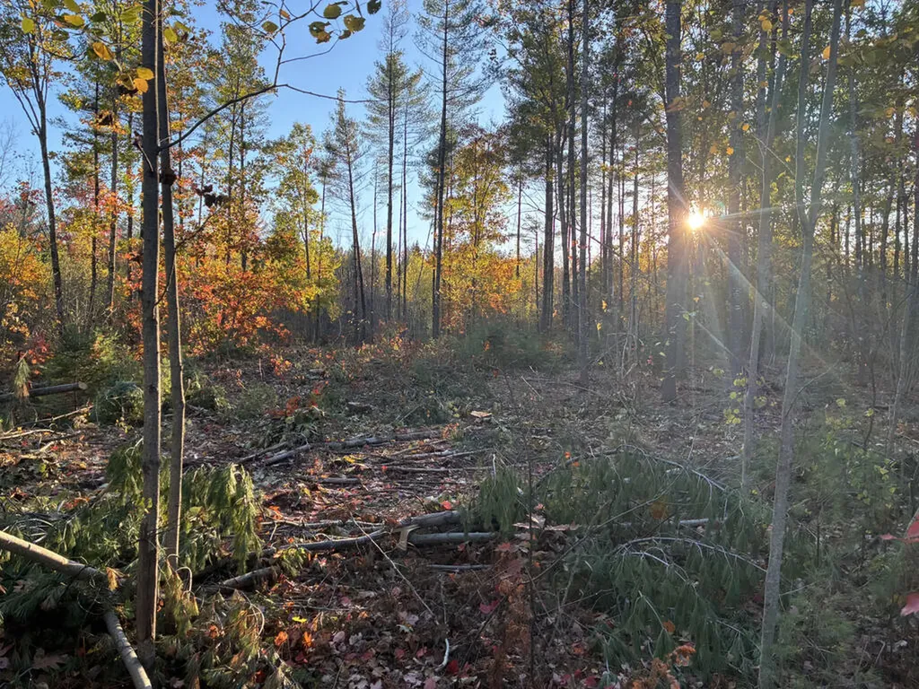 Lot 16 (1) Whittier Road Farmington ME 04938