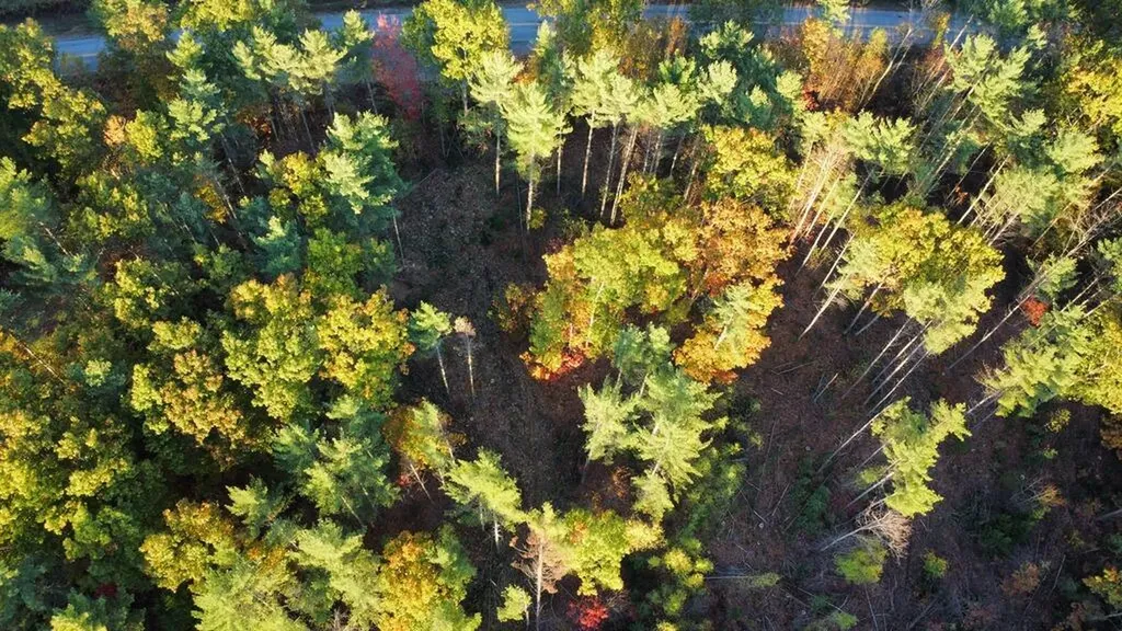 Lot 16 (1) Whittier Road Farmington ME 04938