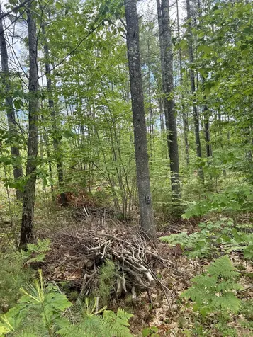 Lot 16 (1) Whittier Road Farmington ME 04938
