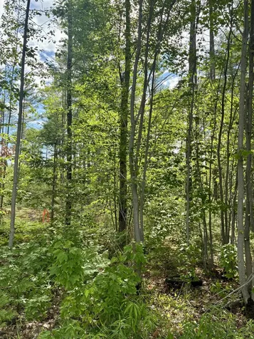 Lot 16 (1) Whittier Road Farmington ME 04938