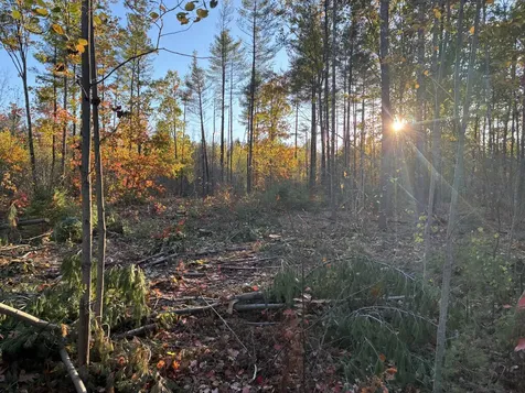 Lot 16 (1) Whittier Road Farmington ME 04938