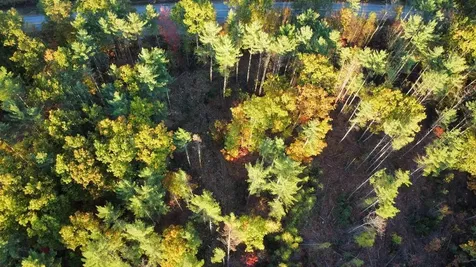 Lot 16 (1) Whittier Road Farmington ME 04938