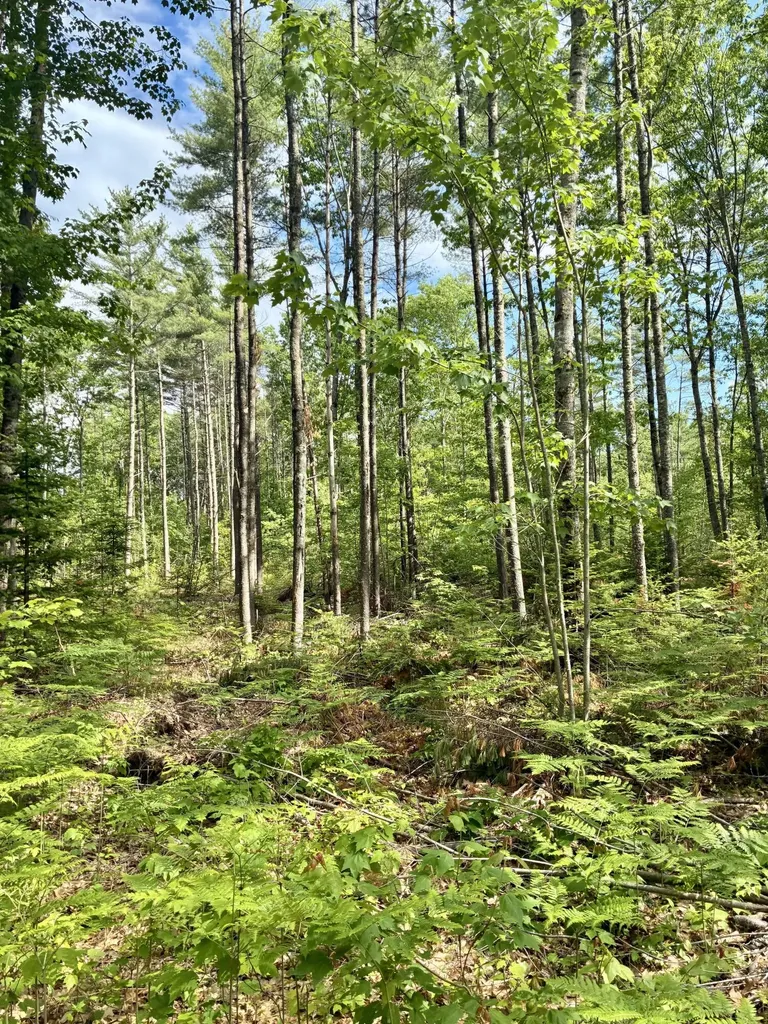 Lot 16 (2) Whittier Road Farmington ME 04938