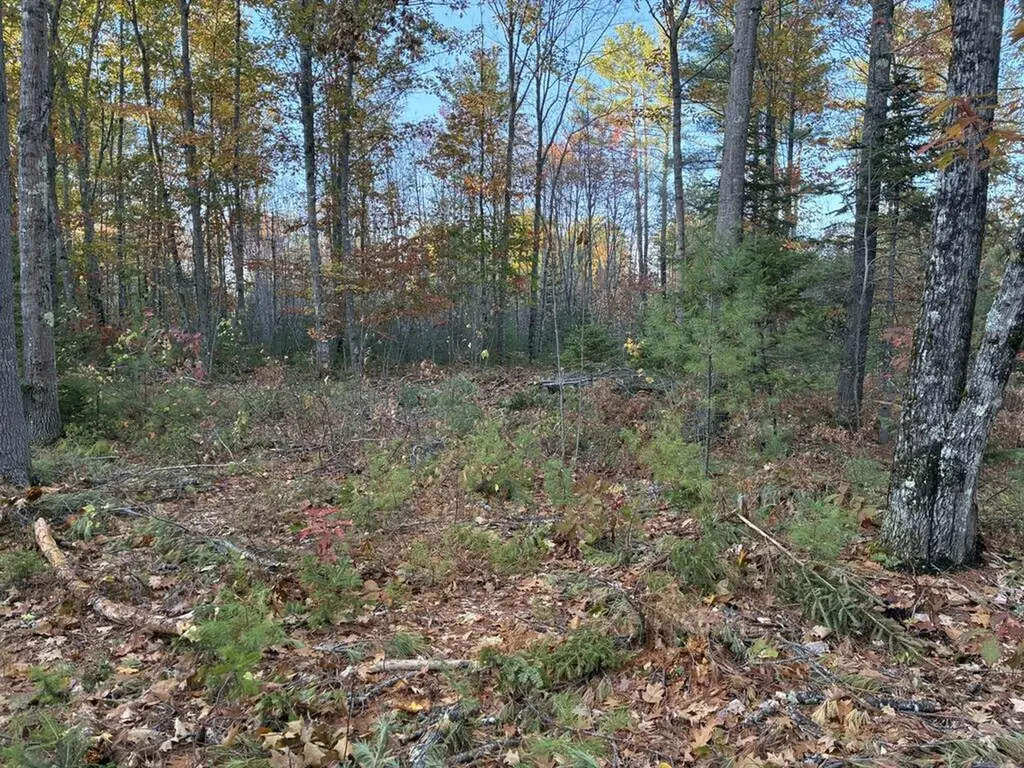 Lot 16 (2) Whittier Road Farmington ME 04938