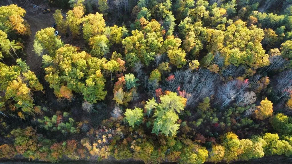 Lot 16 (2) Whittier Road Farmington ME 04938