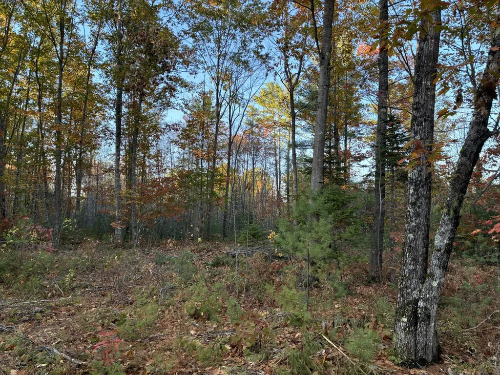 Lot 16 (2) Whittier Road Farmington ME 04938