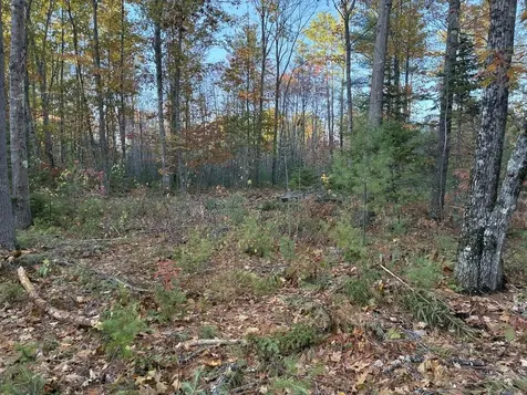 Lot 16 (2) Whittier Road Farmington ME 04938