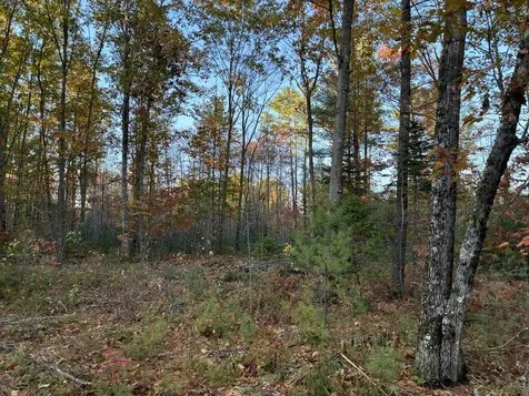 Lot 16 (2) Whittier Road Farmington ME 04938