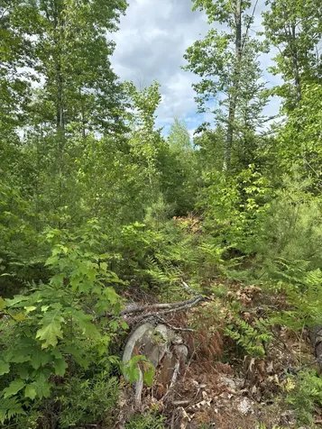 Lot 16 (2) Whittier Road Farmington ME 04938