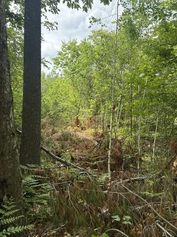 Lot 16 (2) Whittier Road Farmington ME 04938
