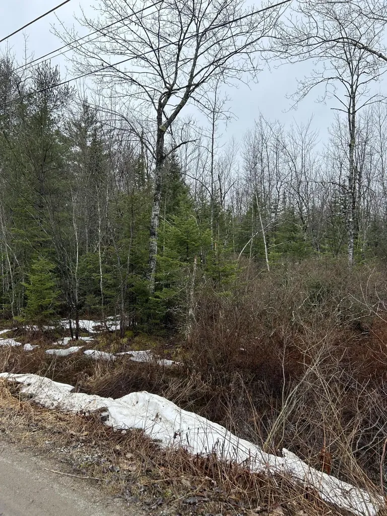 0 Burr Lane Bowdoin ME 04287