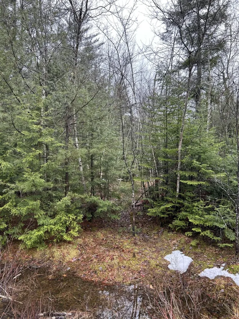 0 Burr Lane Bowdoin ME 04287