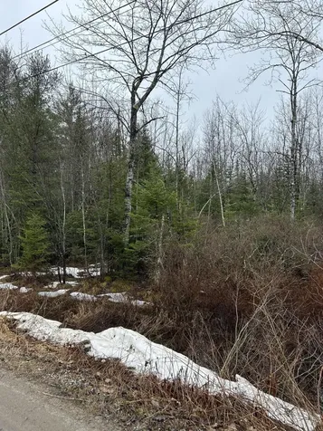 0 Burr Lane Bowdoin ME 04287