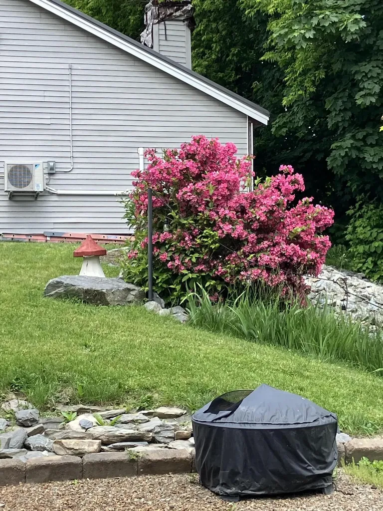 177 Buck Street Bangor ME 04401