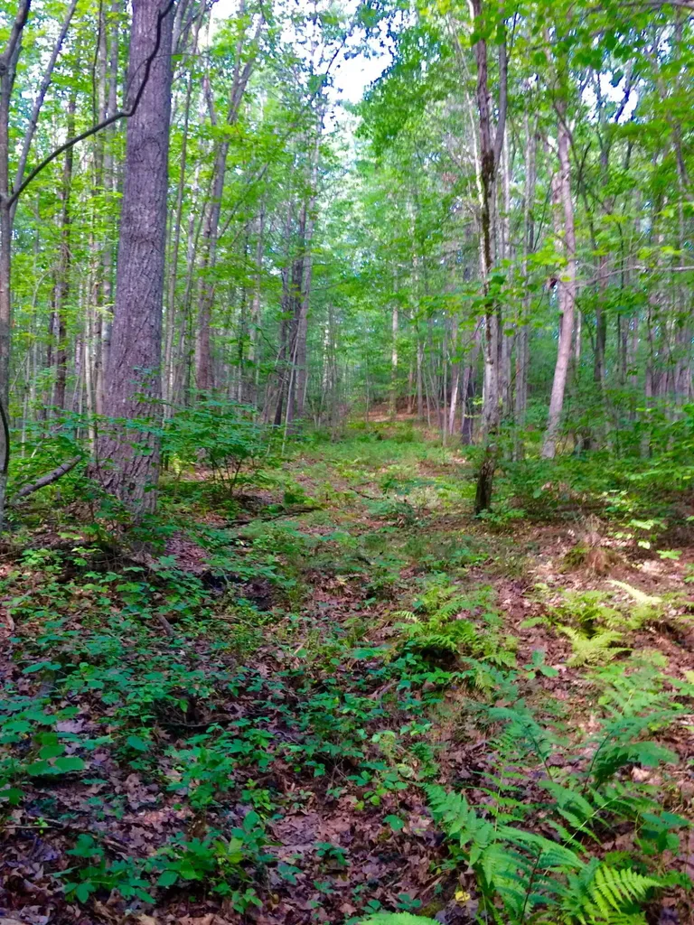 265 Webber Hill Road Kennebunk ME 04043