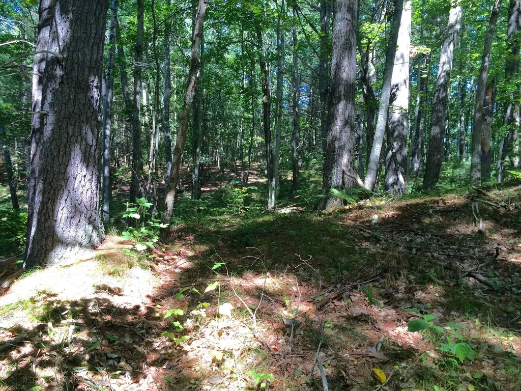 265 Webber Hill Road Kennebunk ME 04043