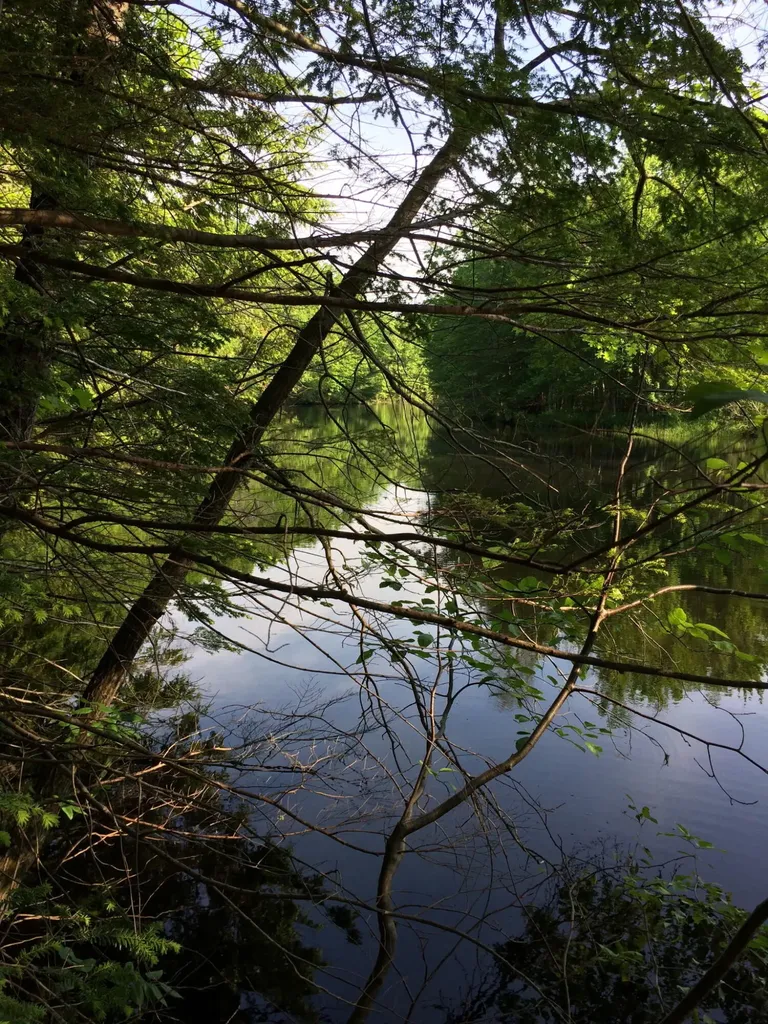 265 Webber Hill Road Kennebunk ME 04043