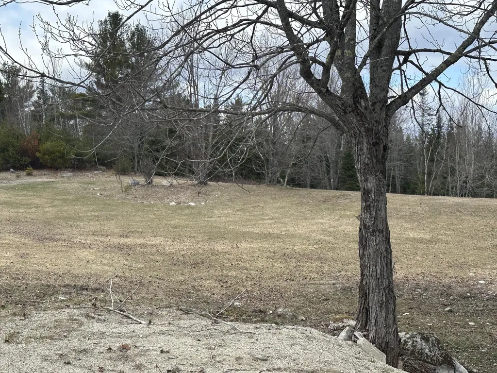 599 Toddy Pond Road Surry ME 04684