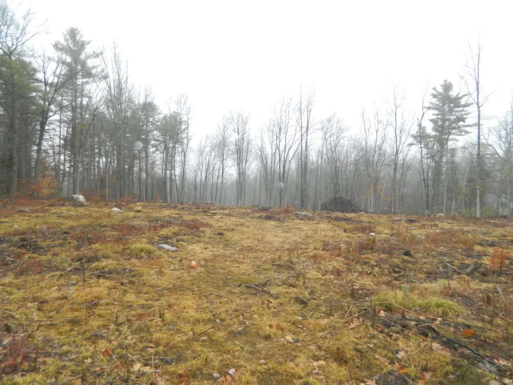 0 Owls Nest Road Shapleigh ME 04076