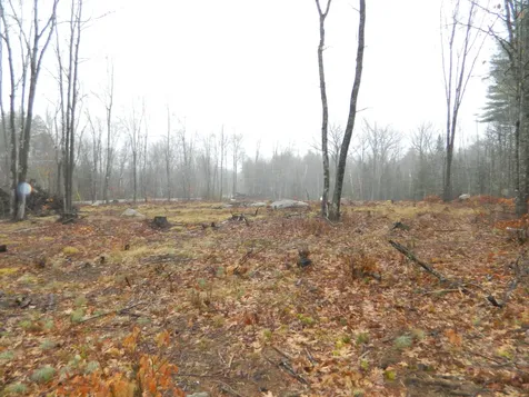 0 Owls Nest Road Shapleigh ME 04076