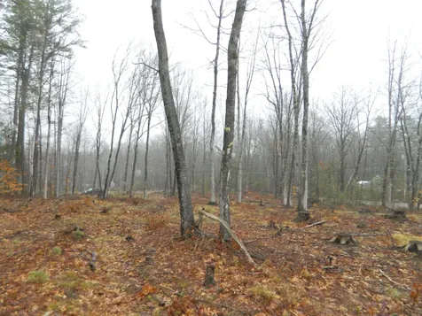 0 Owls Nest Road Shapleigh ME 04076