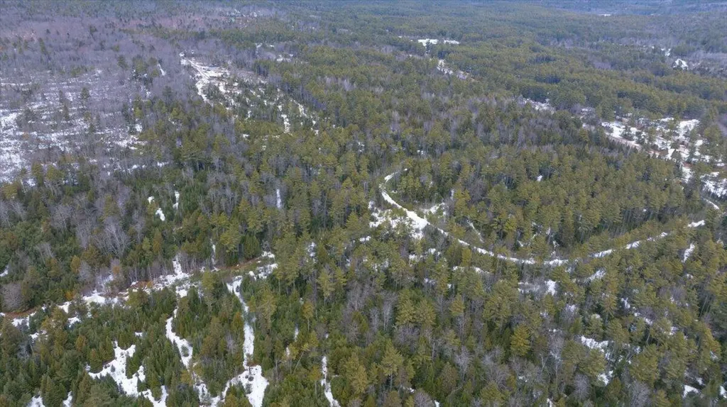 Lot 21 Plains Road Harrison ME 04040